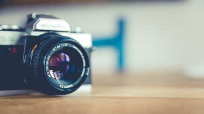 最近の写真・動画