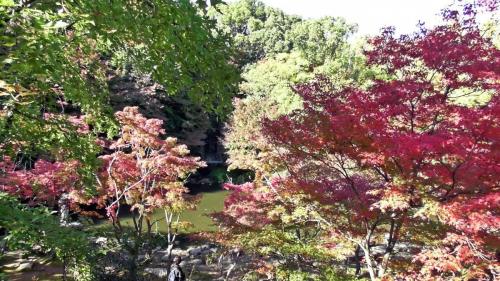 紅葉　自然文化園