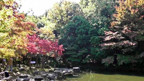 紅葉　自然文化園