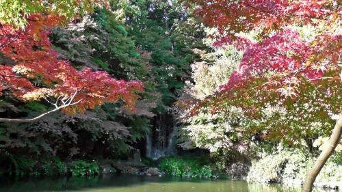 紅葉　自然文化園