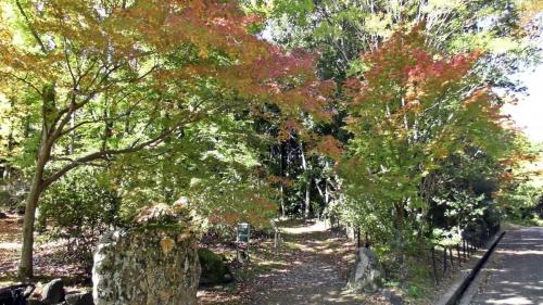 紅葉　自然文化園