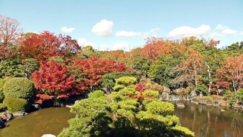 紅葉　日本庭園