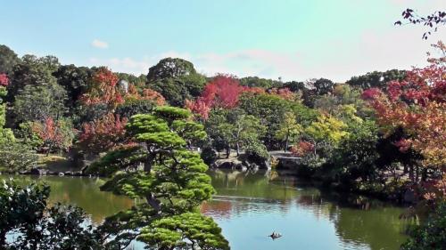 紅葉　日本庭園