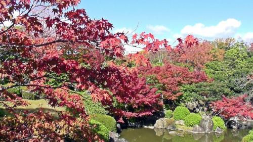 紅葉　日本庭園