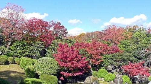 紅葉　日本庭園