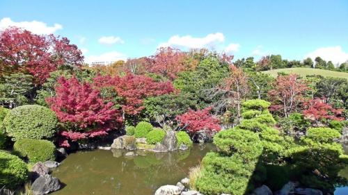 紅葉　日本庭園