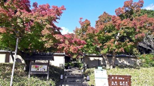 紅葉　日本庭園