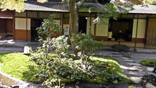 紅葉　日本庭園