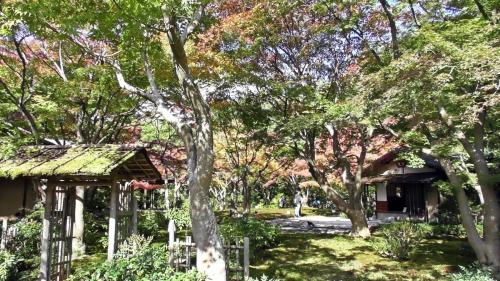 紅葉　日本庭園