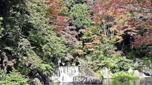 紅葉　日本庭園