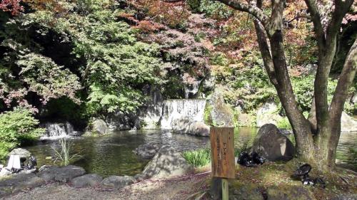 紅葉　日本庭園