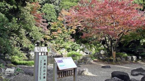 紅葉　日本庭園