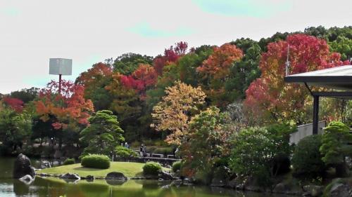 紅葉　日本庭園