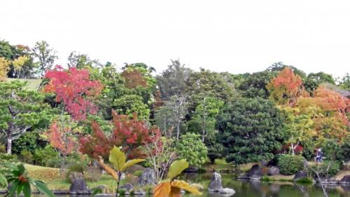 紅葉　日本庭園