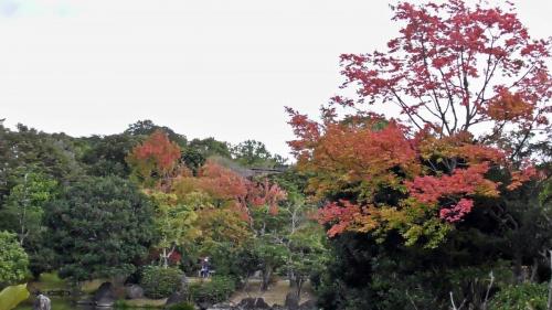 紅葉　日本庭園