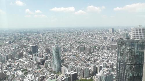 東京都庁展望台